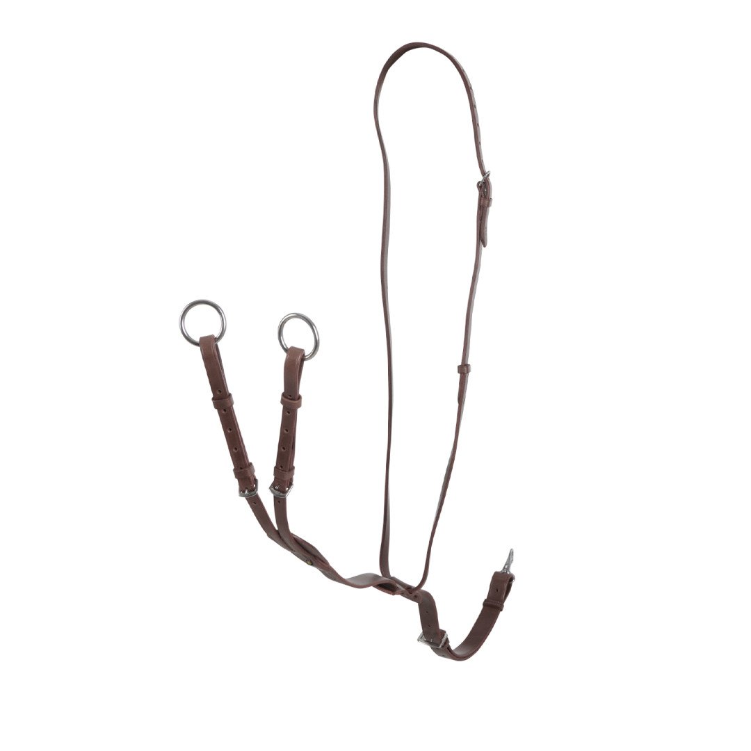 martingale  Martingala a collier cuoio fibbe regolabili 32,78 €