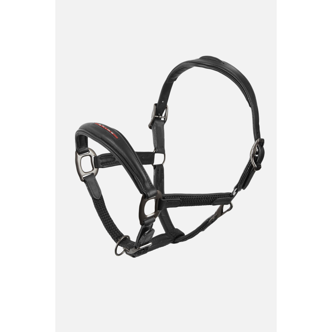 halter  Spirit - Halter Utility model 56,56 € halter  Spirit - Halter Utility model 56,56 €