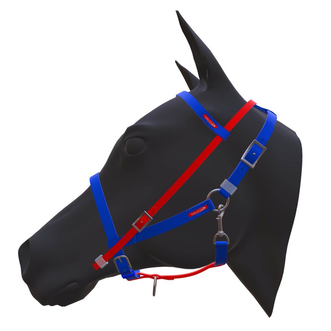 Inicio EQUITIME testiera Easy team RUELLA 69,10&nbsp;€