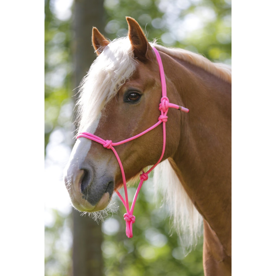cabezada  Equitime Cabezada en Cuerda Rope 20,49 € cabezada  Equitime Cabezada en Cuerda Rope 20,49 €