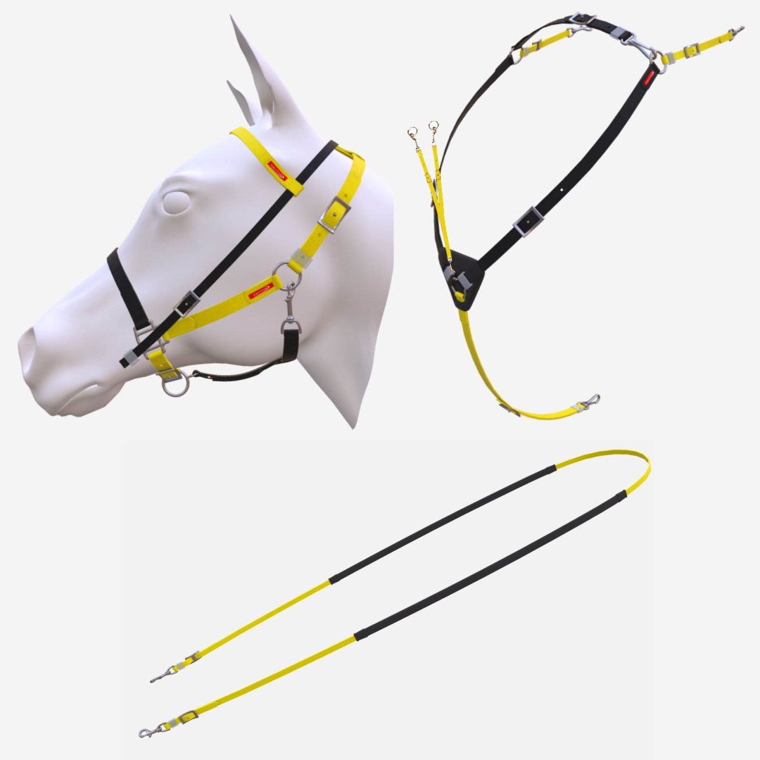 Inicio EQUITIME KIT BIOTHANE WILD HORSE 282,79&nbsp;€