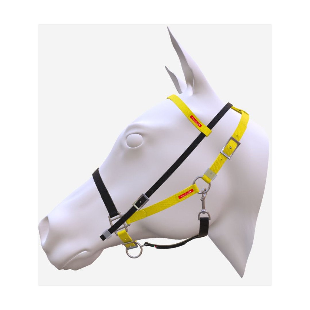 Início cópia do EQUITIME KIT BIOTHANE WILD HORSE 102,46&nbsp;€