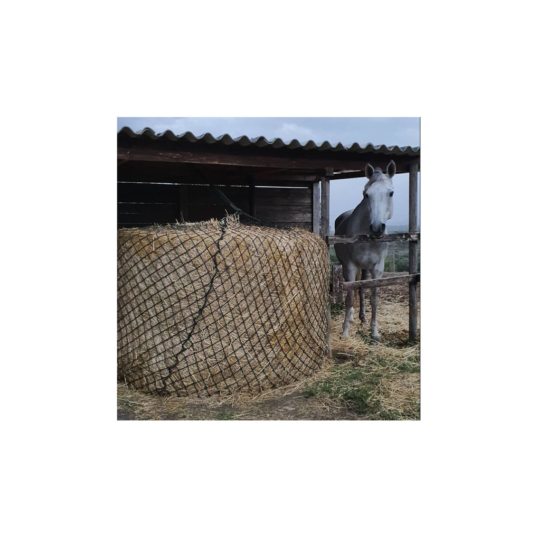 Bastidores de heno  Equitime red de heno para pacas redondas Mesh 7x7 Cm 98,35 € Bastidores de heno  Equitime red de heno para pacas redondas Mesh 7x7 Cm 98,35 €