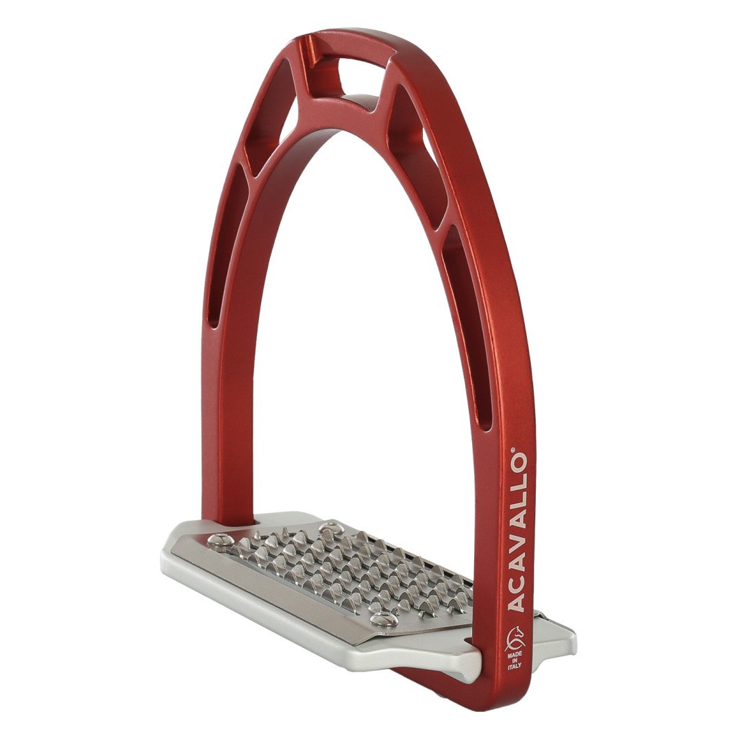 Estribo de aluminio Arco Evolution Alupro