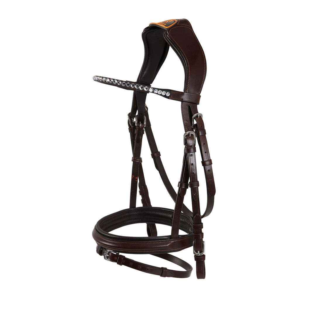 Equitime Testiera Modello English Equitime Testiera Modello English