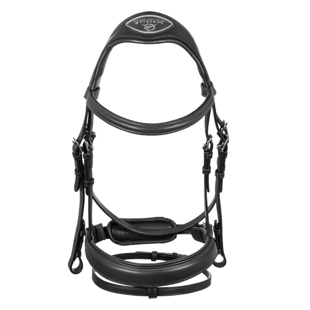 Filosofia Leather Bridle
