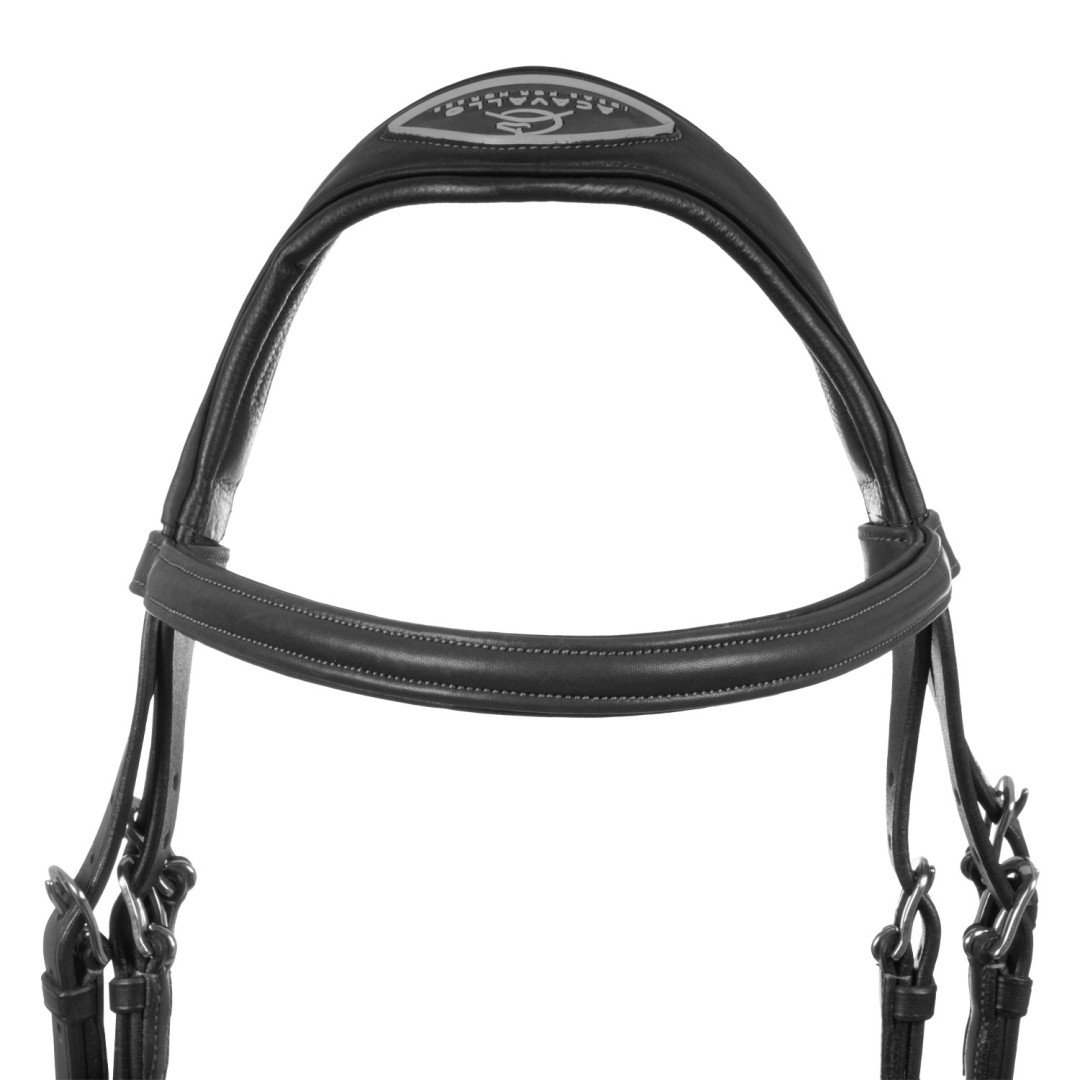 Filosofia Leather Bridle
