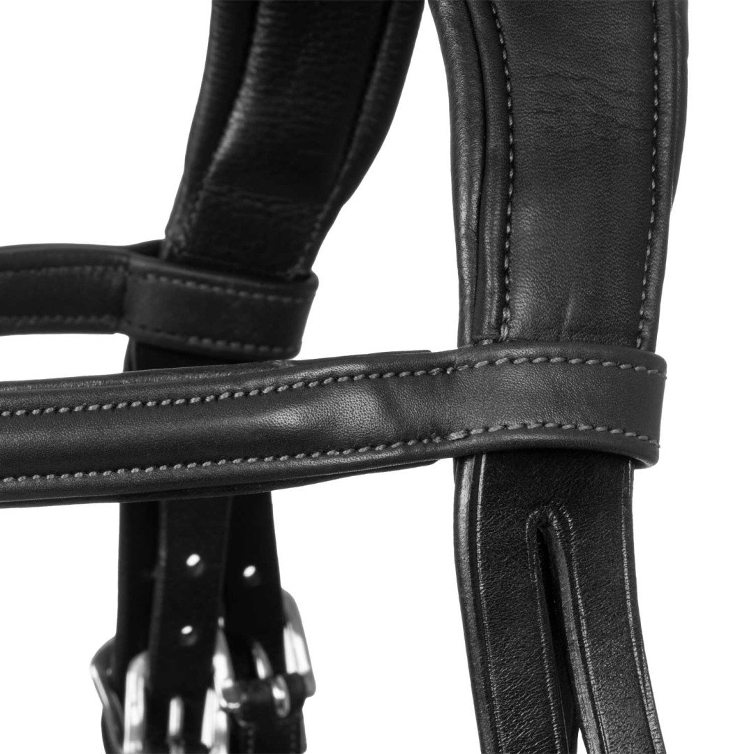 Filosofia Leather Bridle