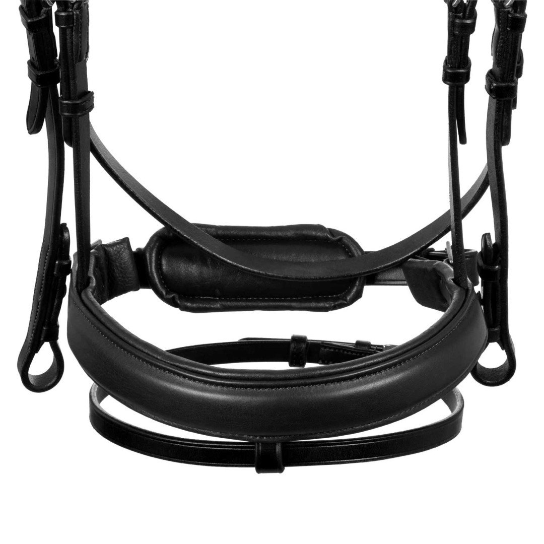 Filosofia Leather Bridle
