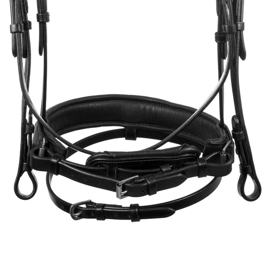 Filosofia Leather Bridle