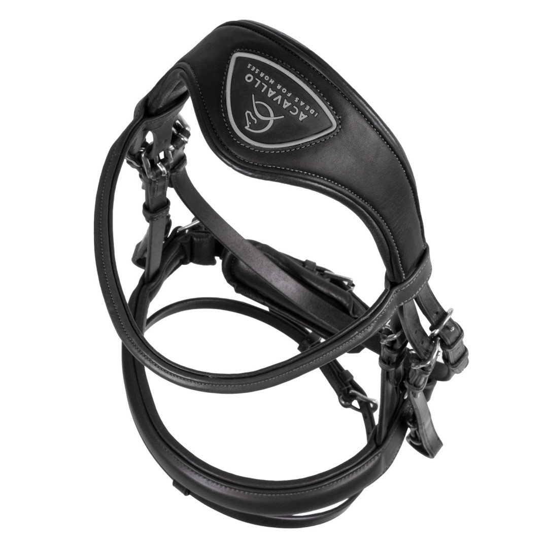 Filosofia Leather Bridle