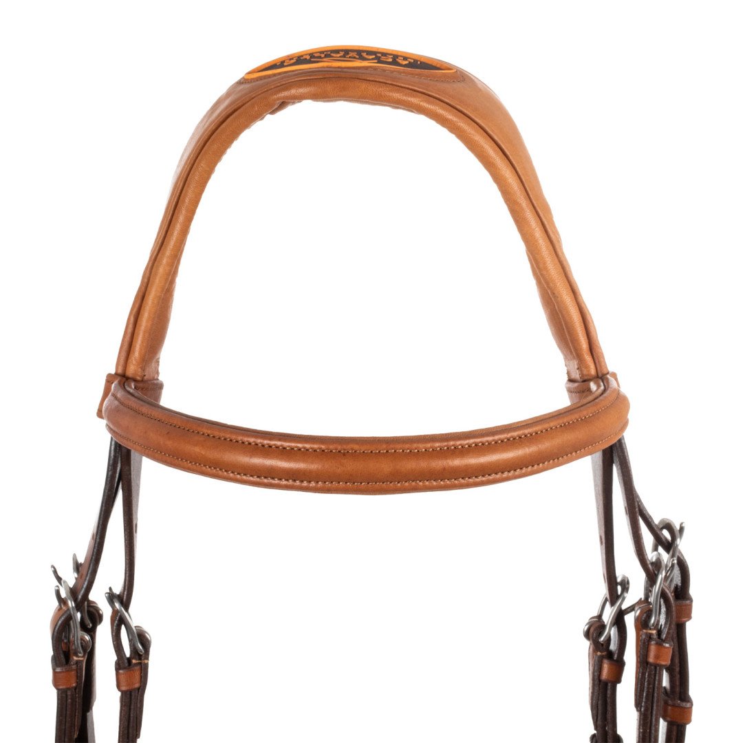 Filosofia Leather Bridle