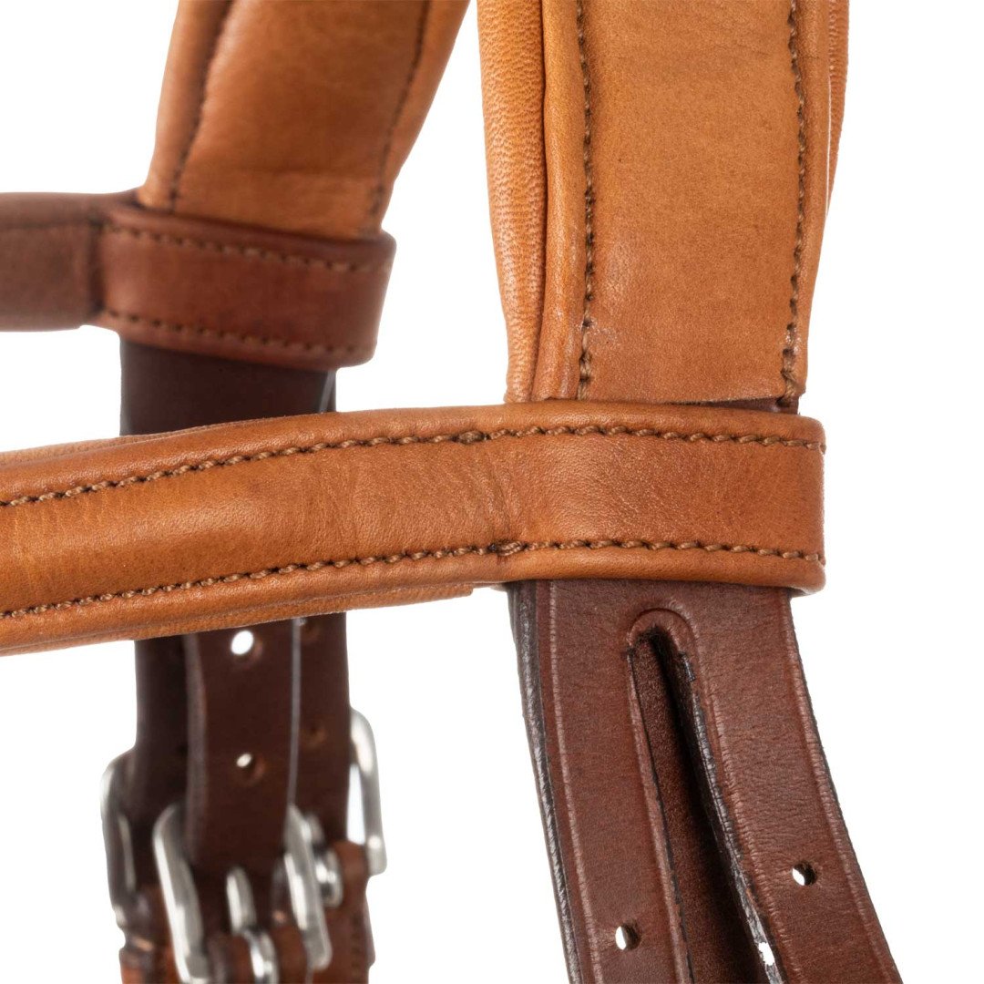 Filosofia Leather Bridle