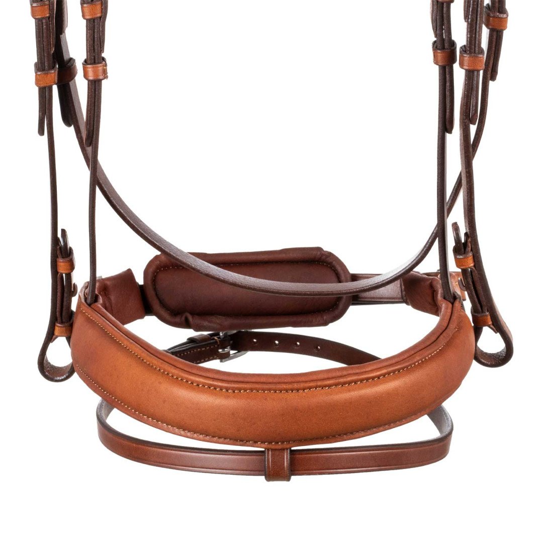 Leather Bridle Philosophy