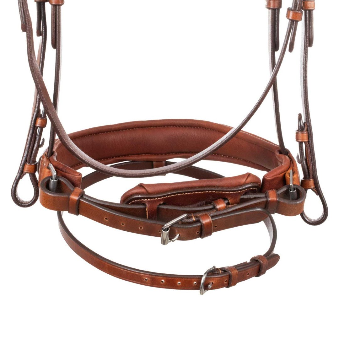 Leather Bridle Philosophy