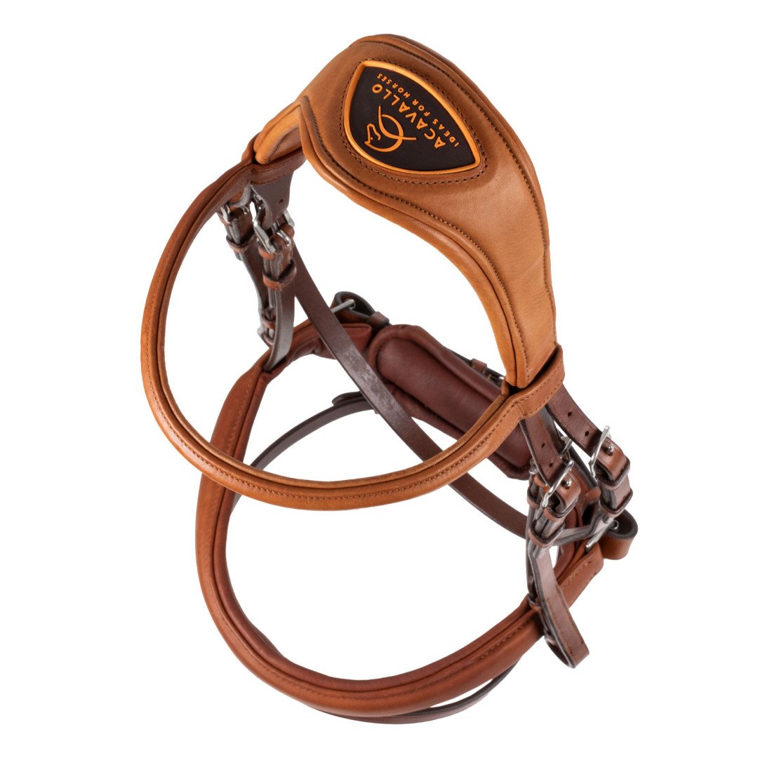 Leather Bridle Philosophy