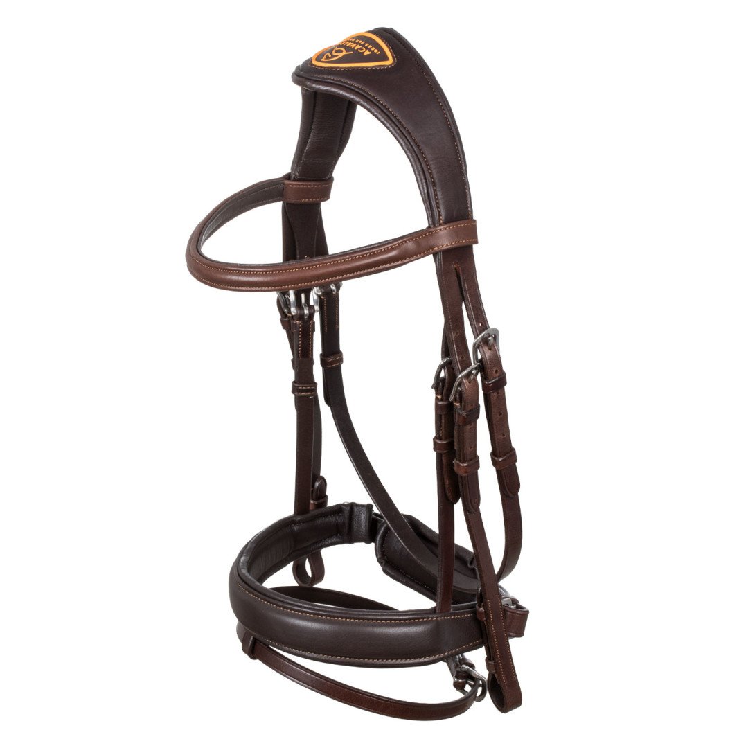Leather Bridle Philosophy