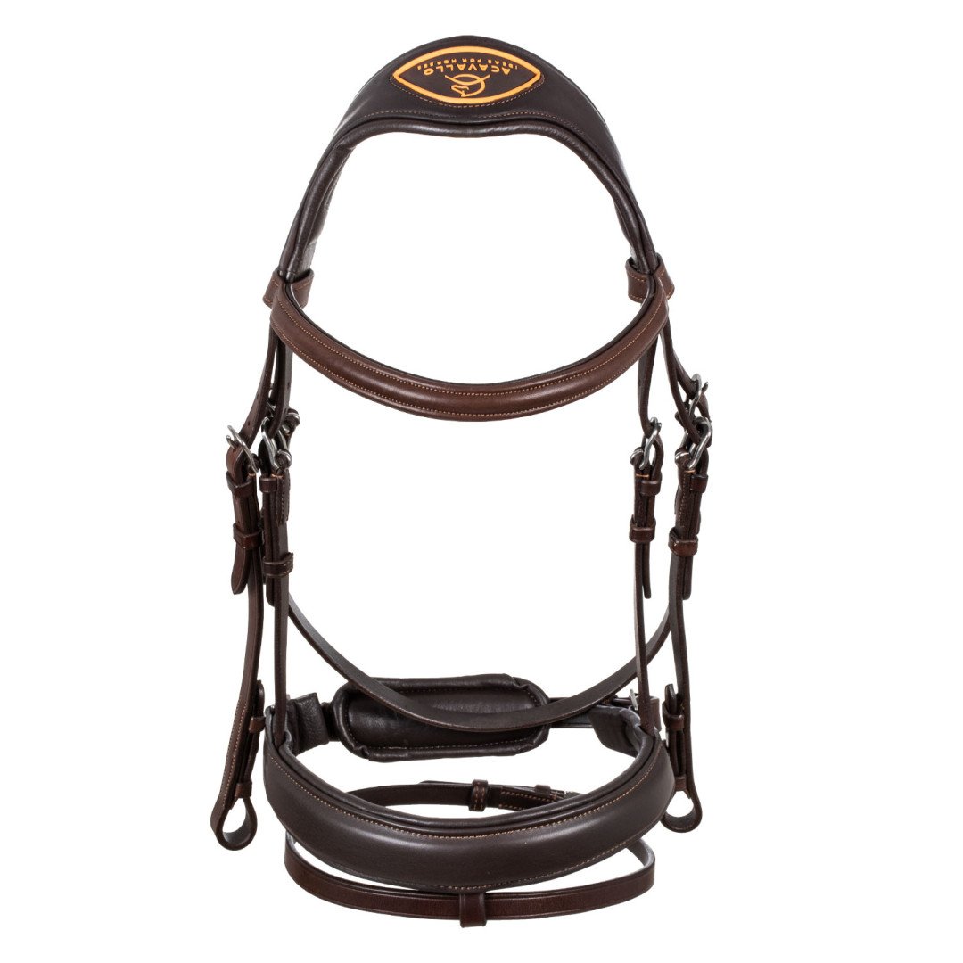 Filosofia Leather Bridle