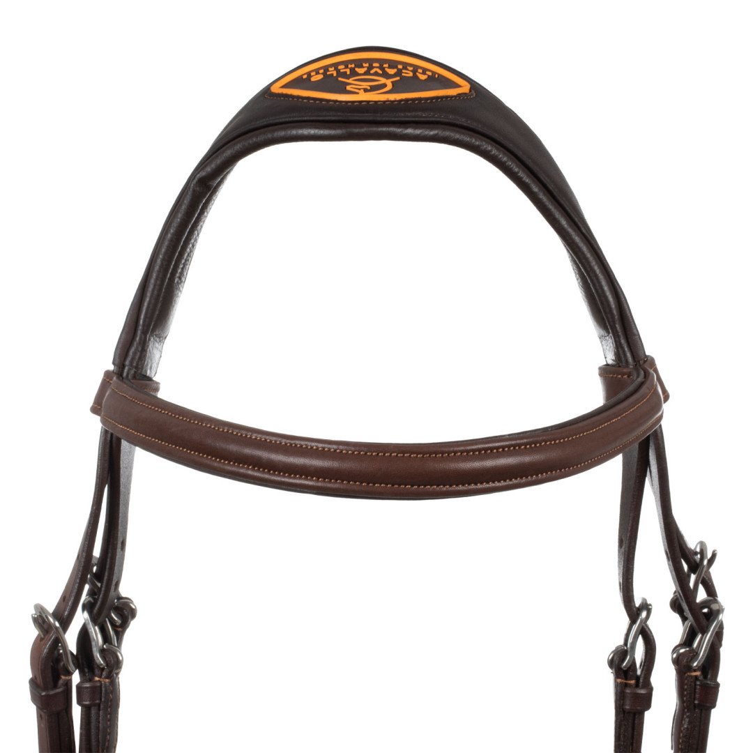 Filosofia Leather Bridle
