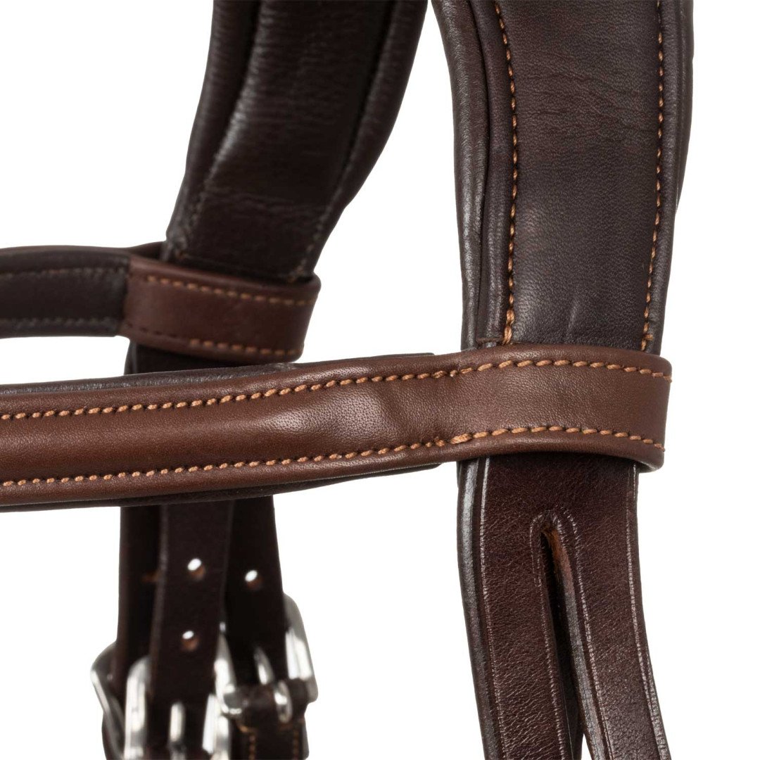 Filosofia Leather Bridle