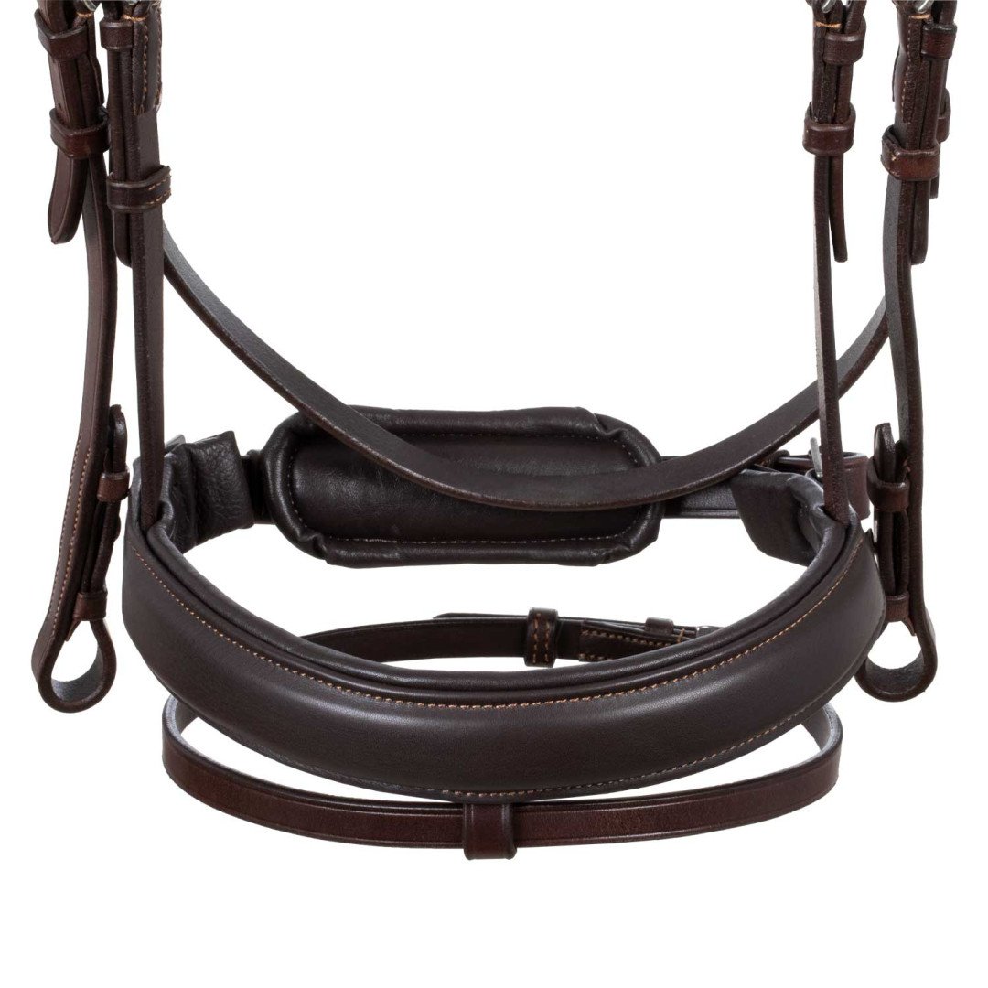 Filosofia Leather Bridle