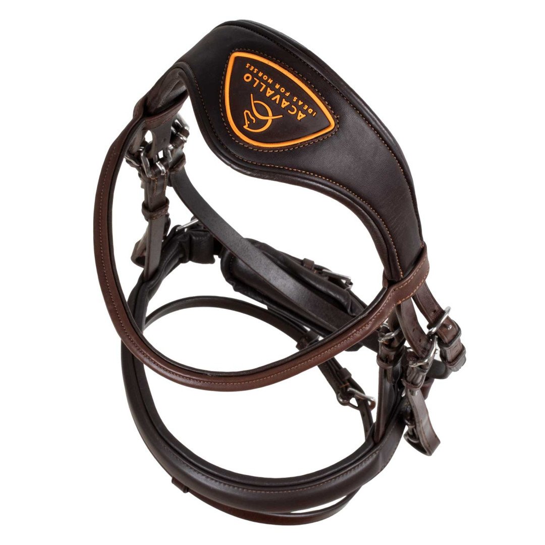Leather Bridle Philosophy