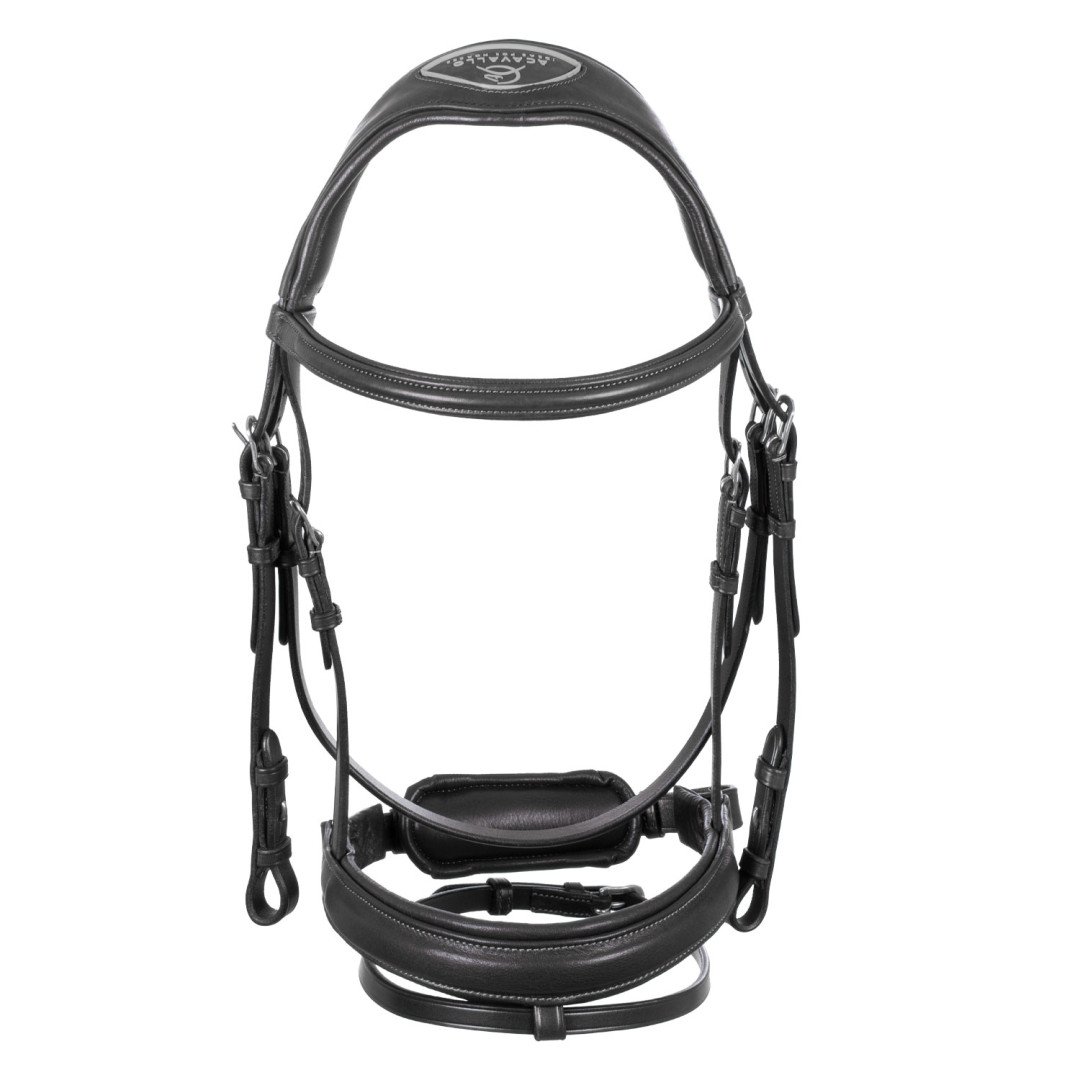 Primavera Leather Bridle
