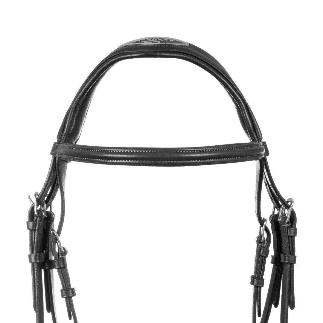 Primavera Leather Bridle
