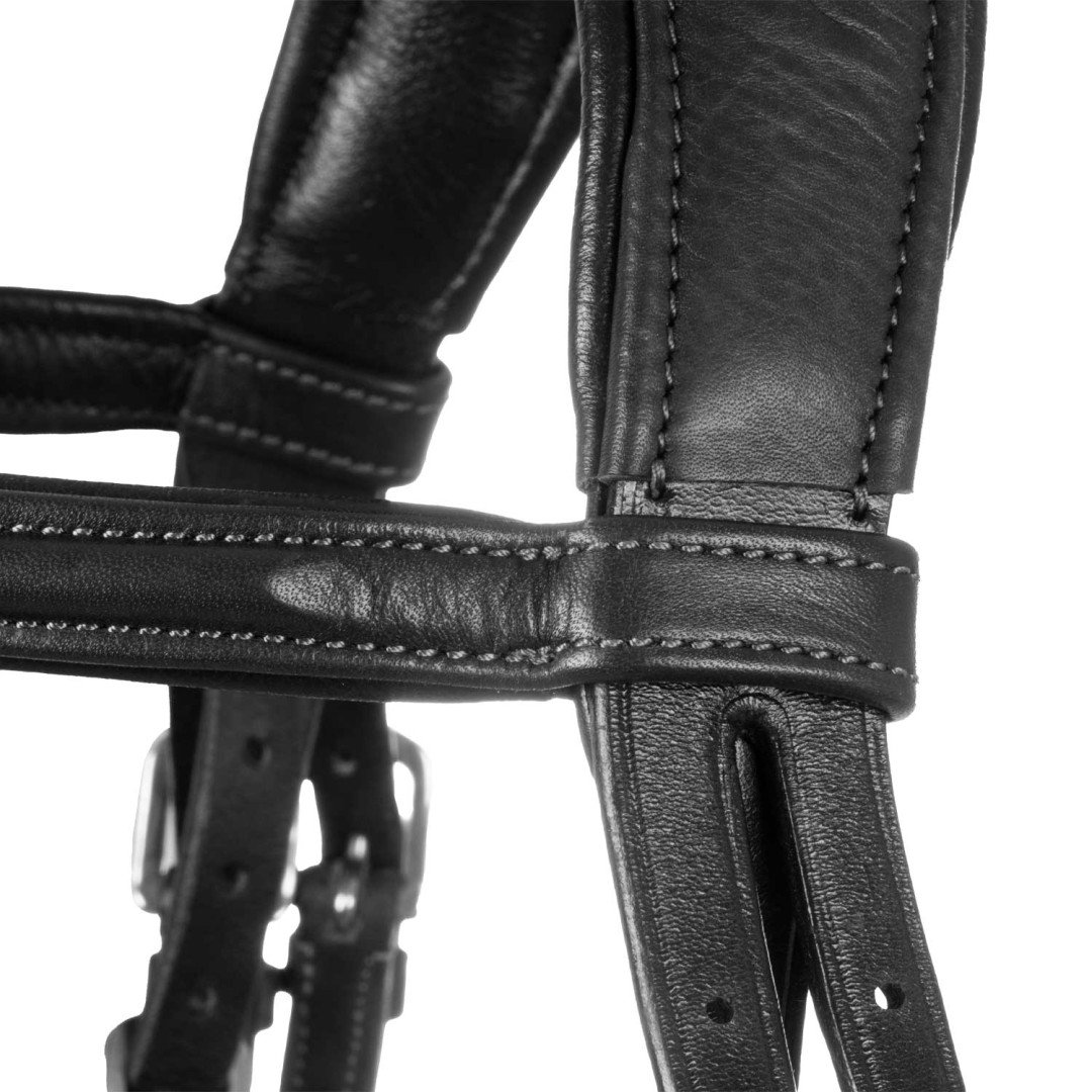 Primavera Leather Bridle