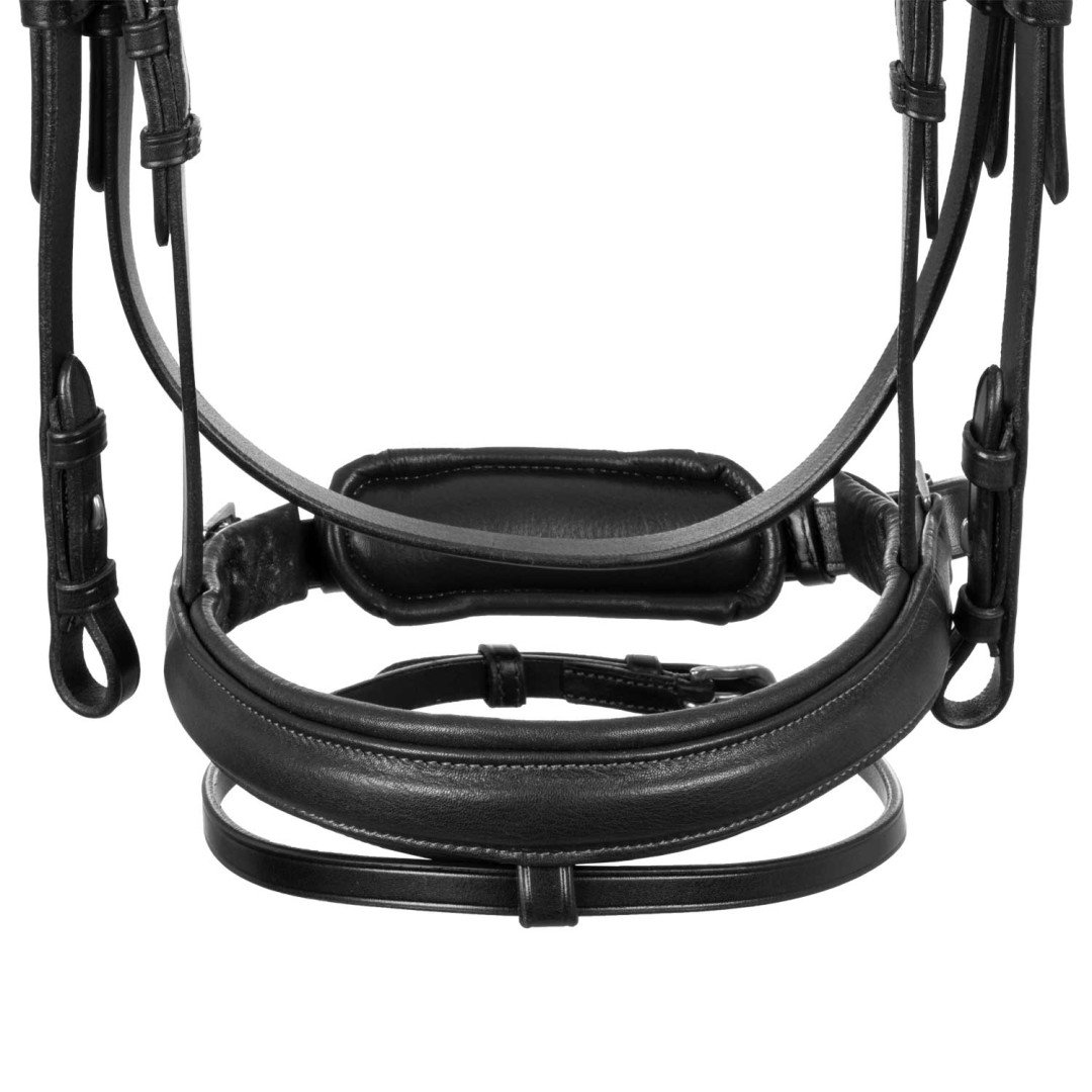 Primavera Leather Bridle