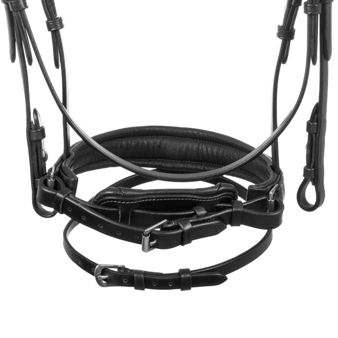 Primavera Leather Bridle