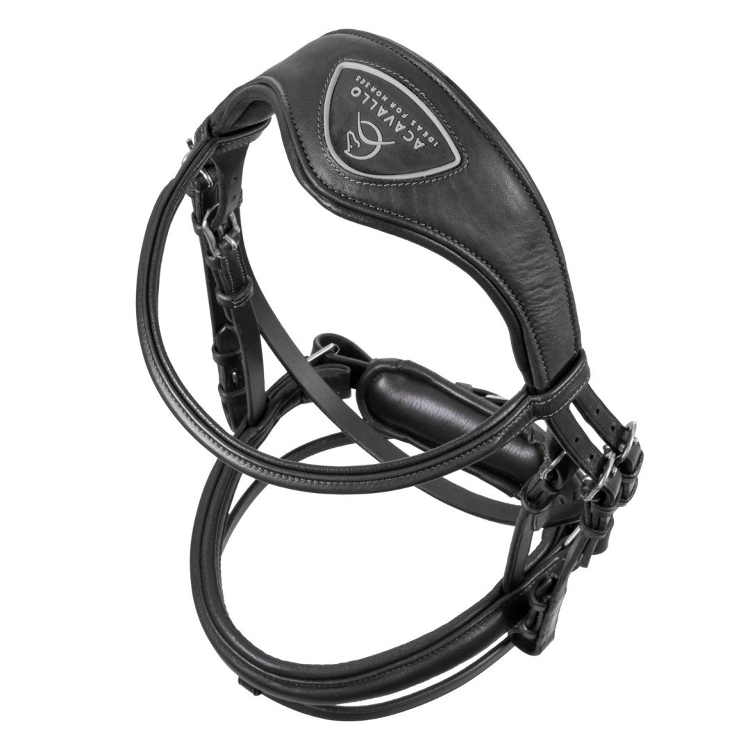 Primavera Leather Bridle