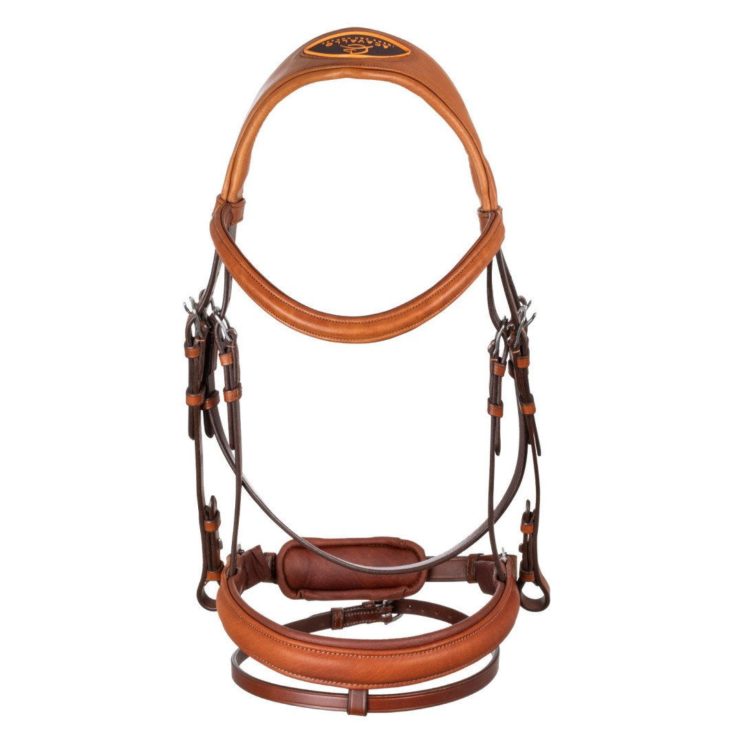 Spring Leather Bridle