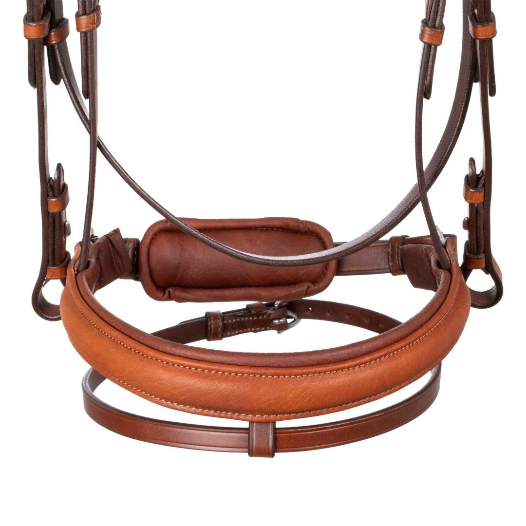 Spring Leather Bridle