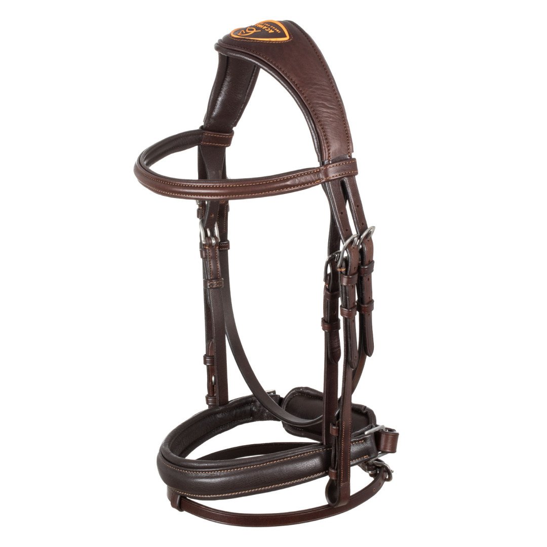 Spring Leather Bridle