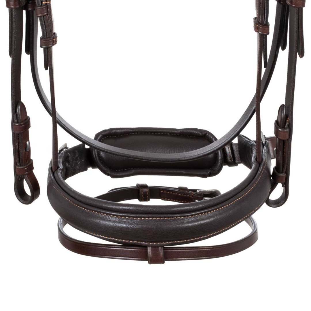Spring Leather Bridle