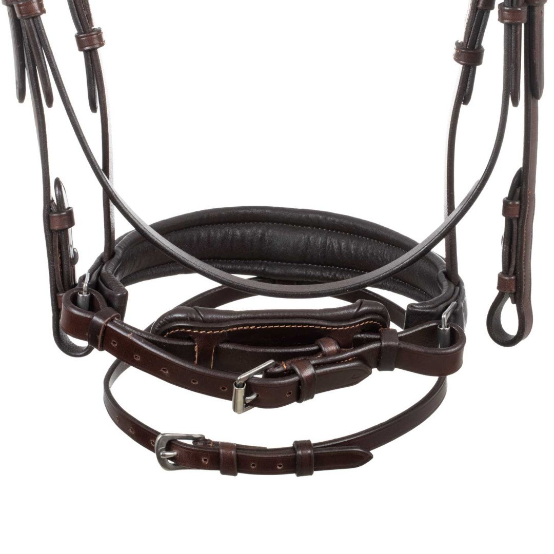 Spring Leather Bridle