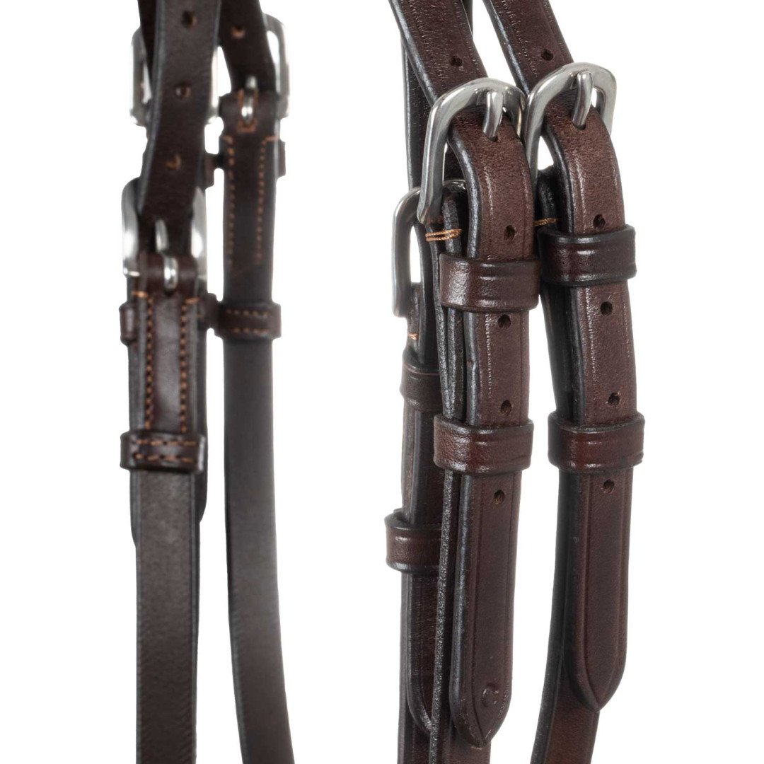 Spring Leather Bridle