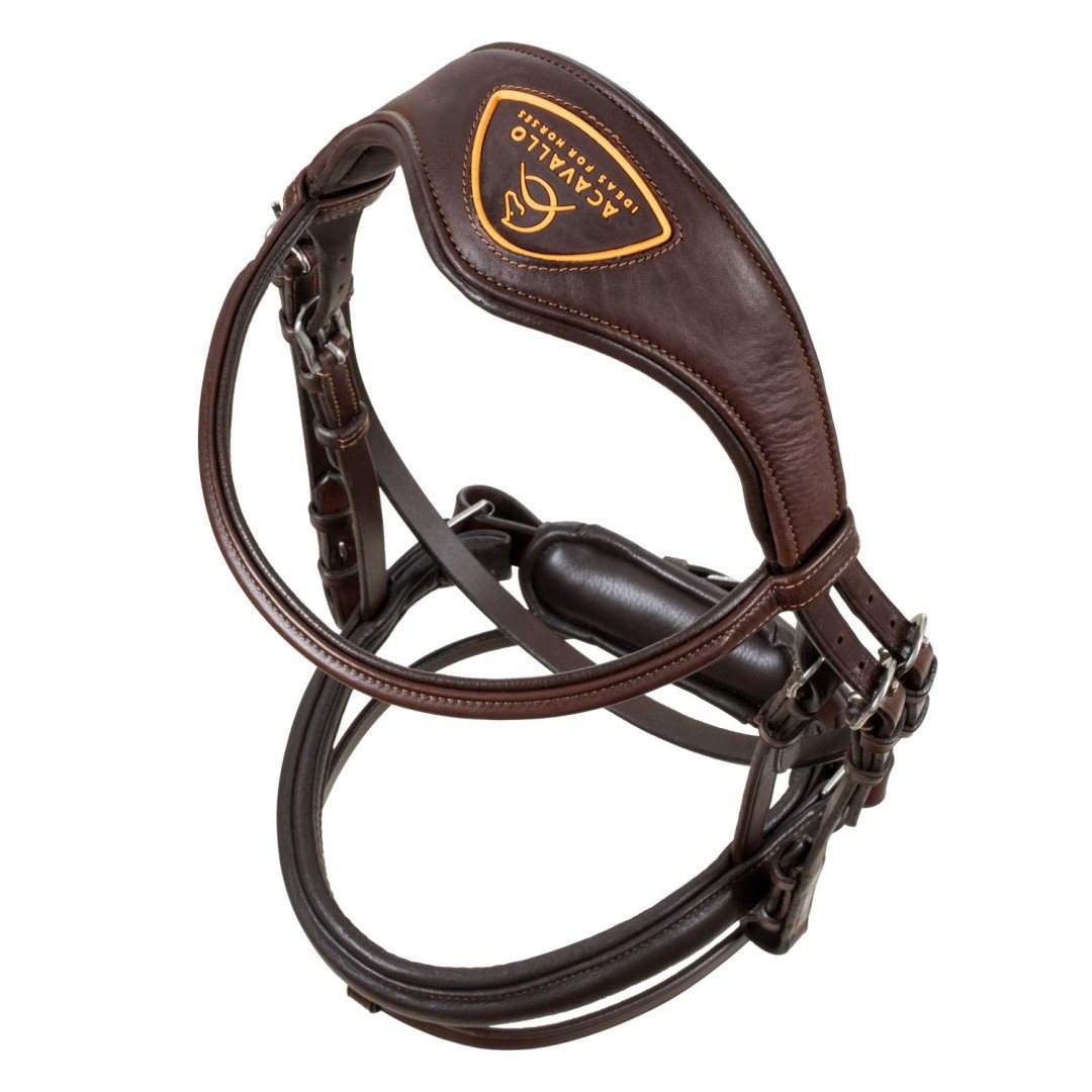 Primavera Leather Bridle