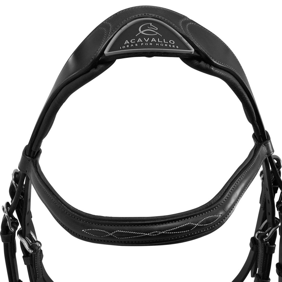 Amazzone Leather Bridle