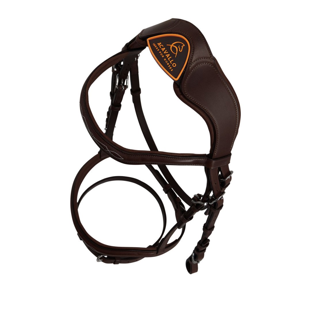 Brida de cuero de Amazon