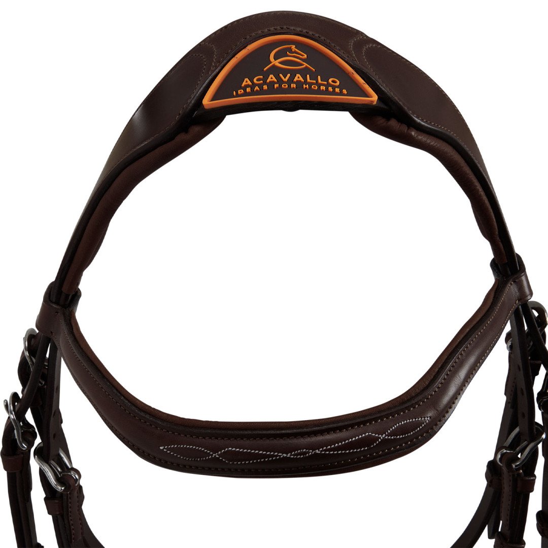 Amazzone Leather Bridle