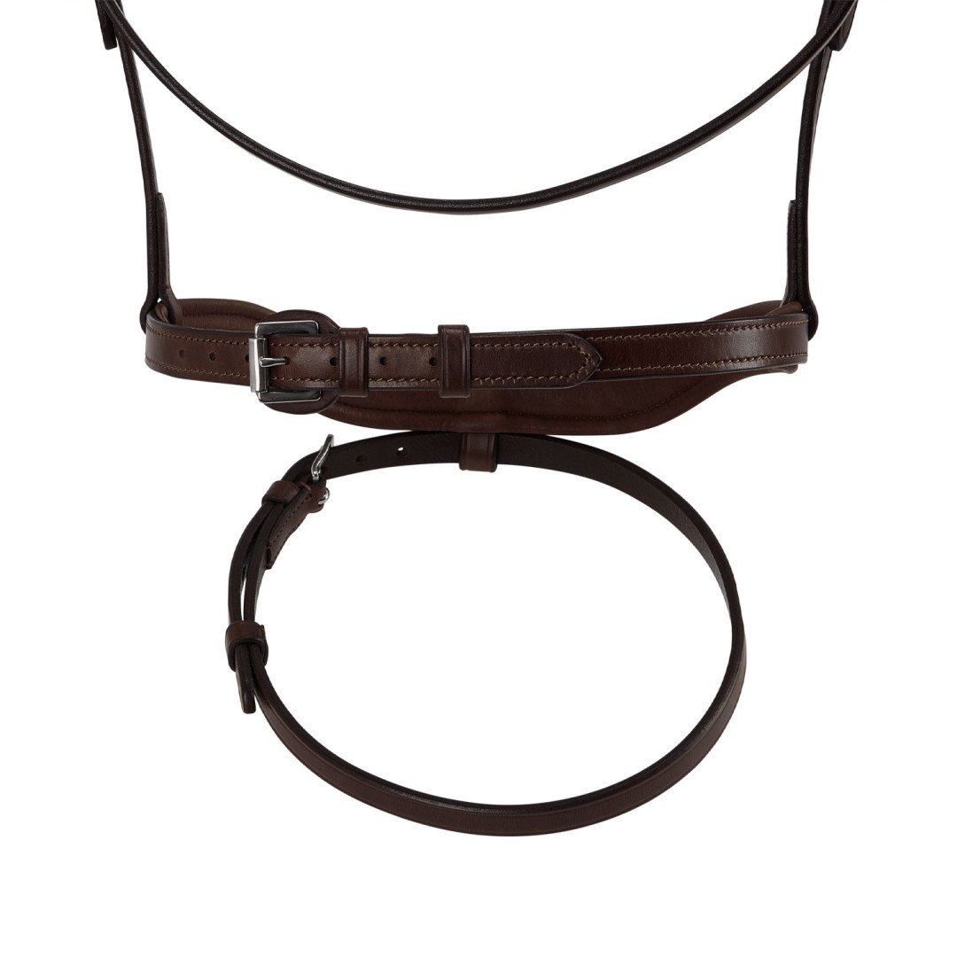 Amazzone Leather Bridle