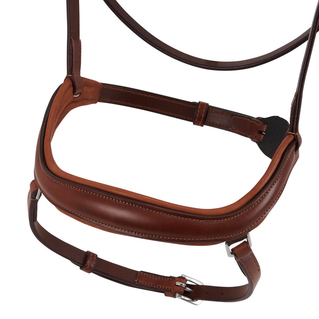 Allegory Leather Bridle