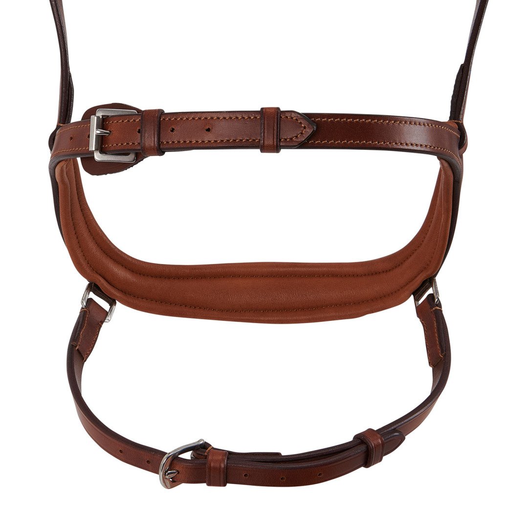 Allegory Leather Bridle