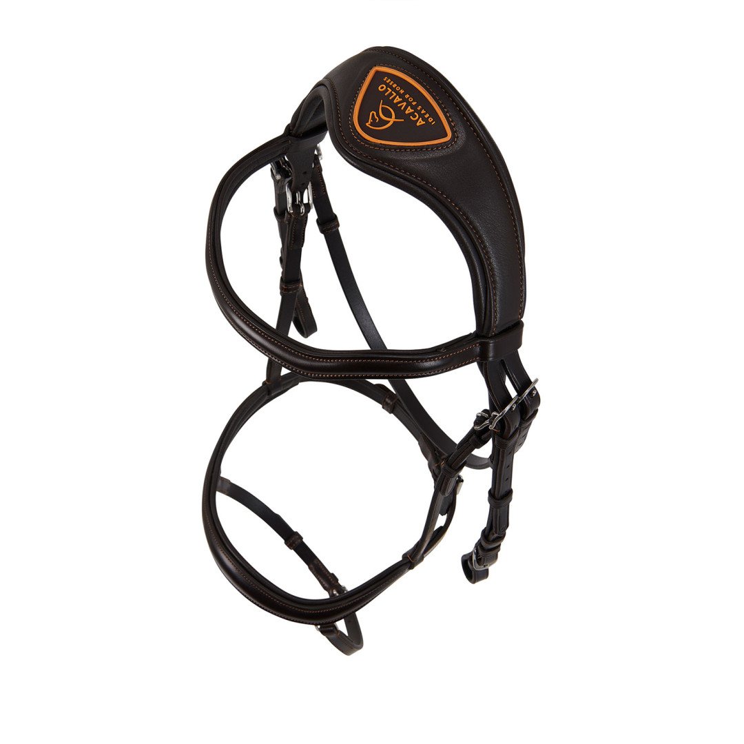 Allegory Leather Bridle