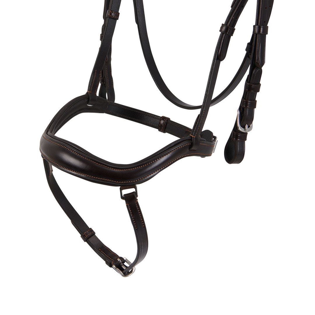 Allegory Leather Bridle