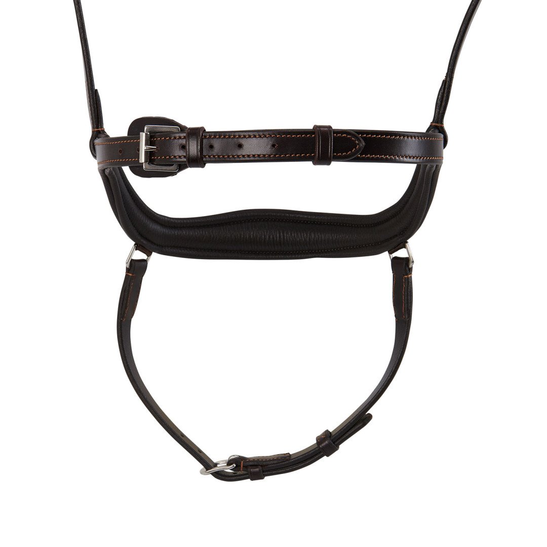 Allegory Leather Bridle