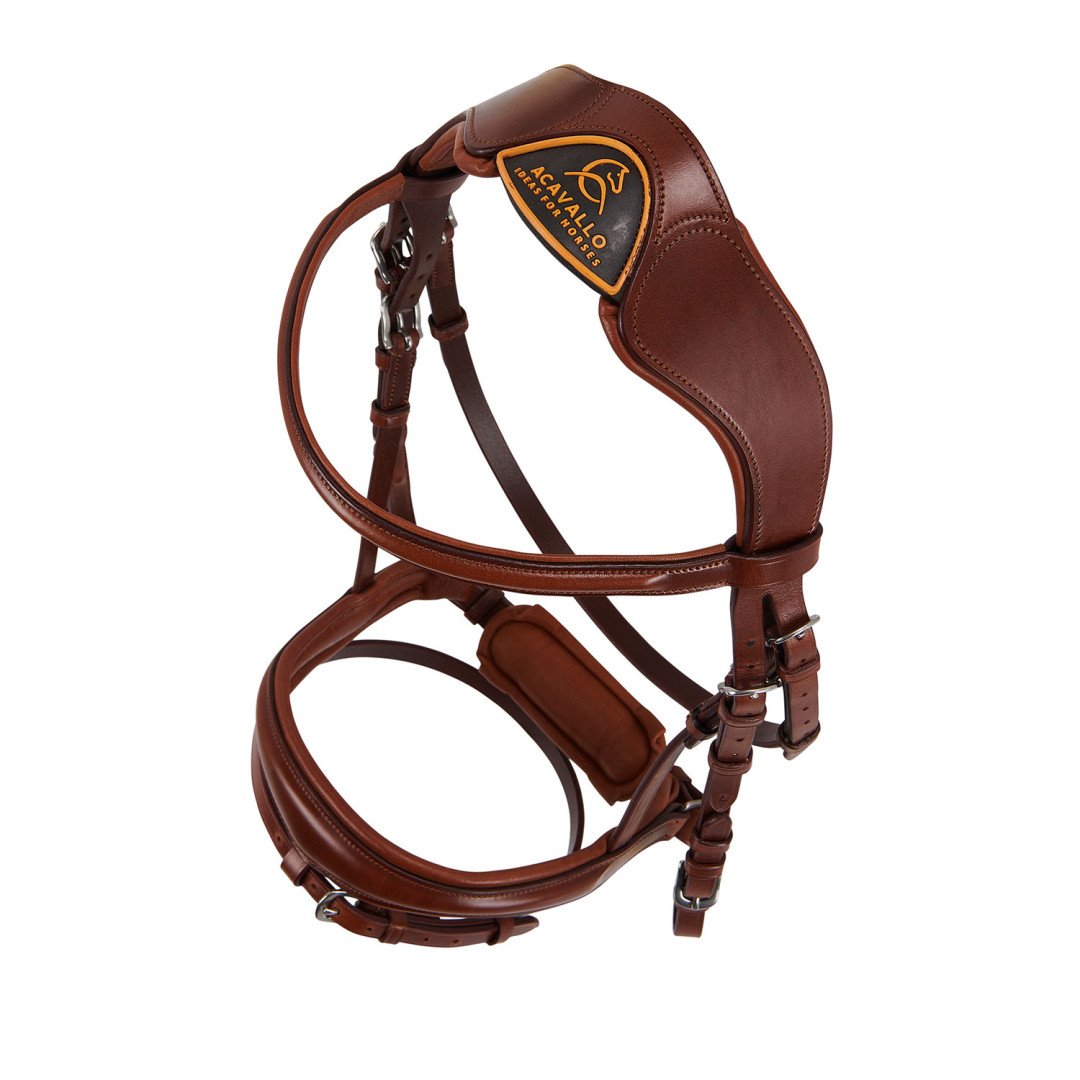 Majesty's Leather Bridle