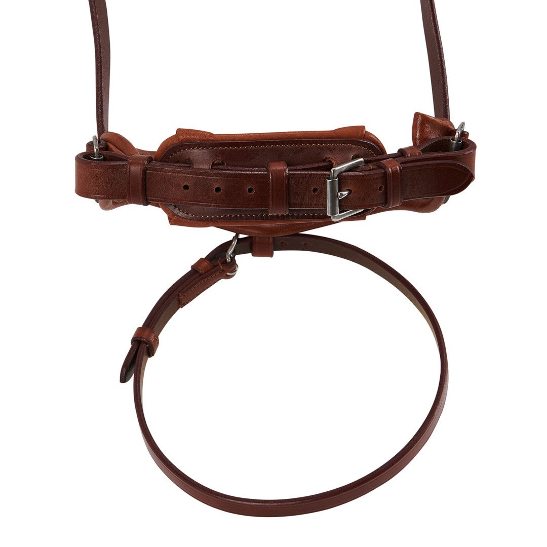 Majesty's Leather Bridle